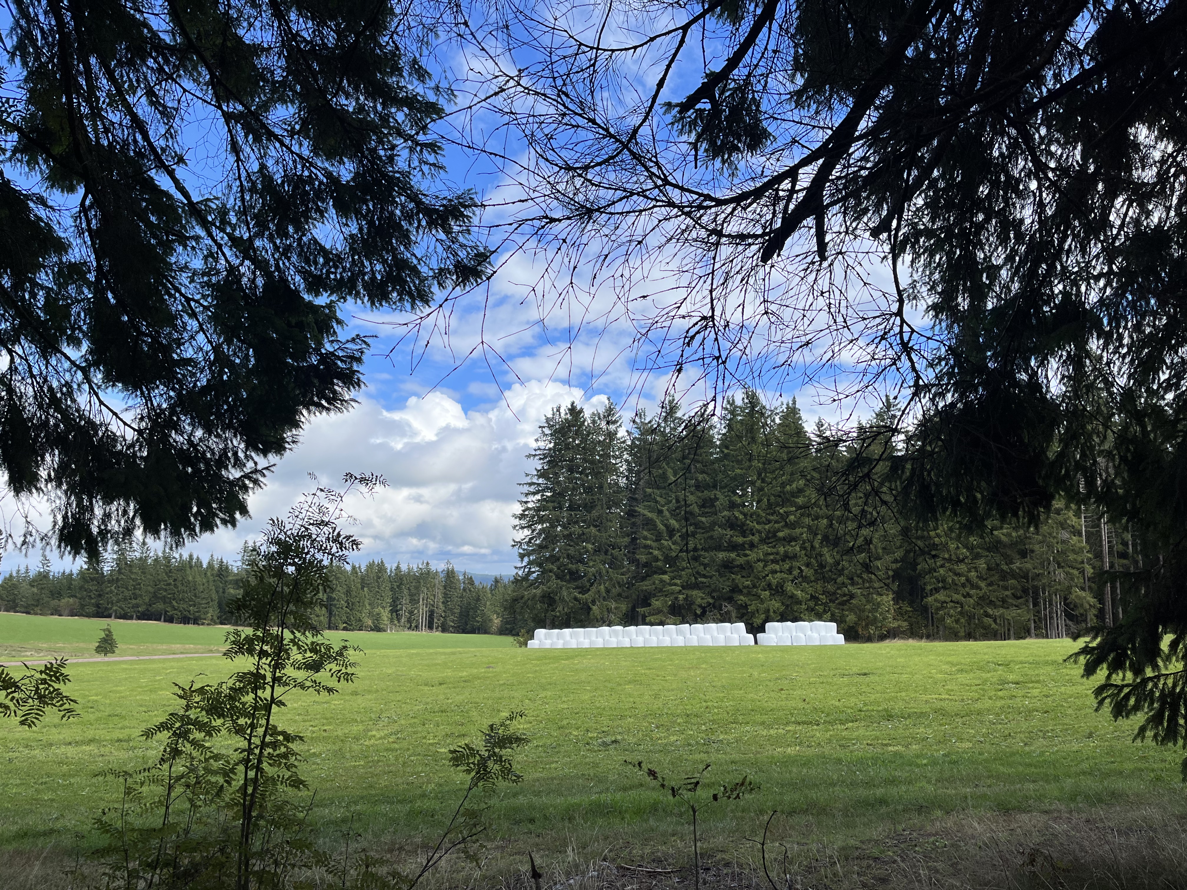 220926 Westweg 2650